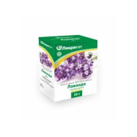 Lavanda.jpg