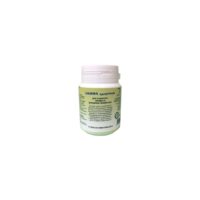 Fitocentr3.jpg