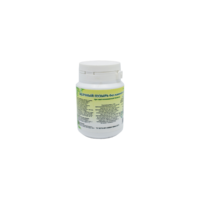Small shop items catalog image2294.png